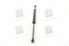 Амортизатор багажника CHEVROLET TACUMA; REZZO (U100) PARTS-MALL PQC-211 (фото 4)