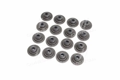 Сальник клапана IN/EX (компл.) ROVER 1.4/1.6 16V 14K4C/14K4F/14K4M/16K4F/18K4F/18K4K Payen HR752