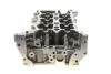 Головка ГБЦ (з клапанами) 2,3dci biturbo Master III RENAULT 110415059R (фото 7)