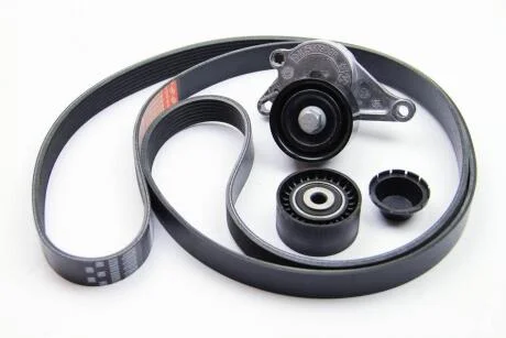 Ремк-кт ременя додатк обладнання 2,3dci Master III 2010- RENAULT 117207736R