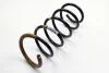 Пружина RENAULT 550202720R (фото 1)