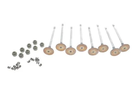 Клапан впускний (8 клапанiв + сальники клапанiв) RENAULT 7701476596