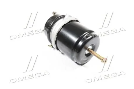 Камера гальмівна з поршневим енергоакумулятором тип 20/24 лінійка PROFESSIONAL RIDER RD 019263