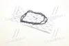 Прокладка клапанної кришки 15 отв. ISUZU, Богдан Е2, Е3 RIDER RD8971056902 (фото 3)