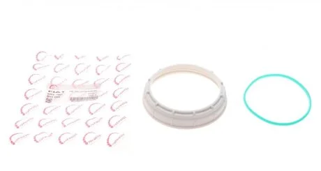 Насос паливний ROTWEISS RWS1961