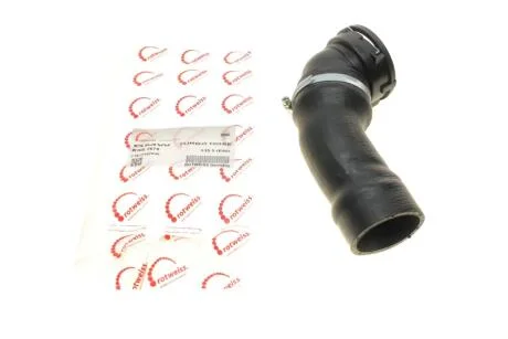 Патрубок інтеркулера ROTWEISS RWS2679