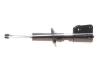 Амортизатор NISSAN/OPEL/RENAULT Primastar/Vivaro/Trafic &quot;F &quot;06&gt;&gt; &quot;(Gas) SACHS 316 591 (фото 1)