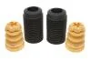 Захисний комплект BMW X3/X4 "1,6-3,0 "10-18 SKF VKDP33832T (фото 1)