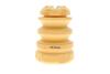 Захисний комплект BMW X3/X4 &quot;1,6-3,0 &quot;10-18 SKF VKDP33832T (фото 6)