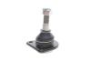 Кульова опора SKF VKDS 317001 (фото 6)