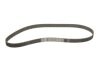 Ремкомплект ГРМ AUDI/VW 80/Golf/Jetta/Passat/Santana/Transporter &quot;1,5-1,7D &quot;76-93 SKF VKMA 01010 (фото 2)