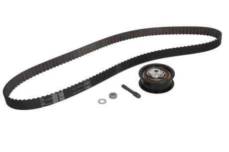 Комплект (ремінь+ролики) SKF VKMA 01015