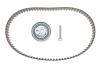 Ремкомплект ГРМ AUDI/VW &quot;2,7-3,0TDI &quot;04-11 SKF VKMA 01332 (фото 1)