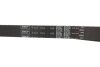 Ремкомплект ГРМ FIAT Brava/Bravo/Doblo/Marea/Palio/Punto/Strada &quot;1,9D &quot;96&gt;&gt; SKF VKMA 02174 (фото 3)