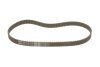 Ремкомплект ГРМ ALFA/FIAT/LANCIA Mito/Brava/Bravo/Idea/Punto/Stilo/Delta/Ypsilon &quot;1,2-1,4 &quot;99&gt;&gt; SKF VKMA 02204 (фото 2)