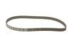 Ремкомплект ГРМ FIAT/FORD/LANCIA 500/Doblo/Idea/Linea/Panda/Punto/Qubo/Ka/Ypsilon &quot;1,2-1,4 &quot;99&gt;&gt; SKF VKMA 02206 (фото 3)