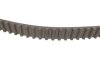 Ремкомплект ГРМ FORD/MAZDA Fiesta/Focus/Fusion/2 &quot;1,25-1,6 &quot;01&gt;&gt; SKF VKMA 04226 (фото 3)