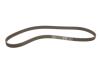 Ремкомплект ГРМ CHEVROLET/OPEL Captiva/Antara/Frontera/OmegaB/Sintra &quot;2,2,-2,4 &quot;95&gt;&gt; SKF VKMA 05228 (фото 3)