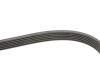 Ремкомплект ГРМ AUDI/SEAT/SKODA/VW A1/A3/Q3/TT/Fabia/Octavia/Caddy/Golf/Jetta/Passat &quot;1,2-2,0TDI &quot;12 SKF VKMA 31098 (фото 3)