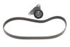 Ремкомплект ГРМ CITROEN/PEUGEOT C2/C3/C4/1007/207/307 &quot;1,1-1,6 &quot;00&gt;&gt; SKF VKMA 33074 (фото 1)