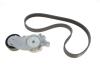 Ремкомплект ГРМ CITROEN/FORD/PEUGEOT/VOLVO Berlingo/C2-5/Fiesta/206+/3008/C30/V70 &quot;1,4-1,6D &quot;02&gt;&gt; SKF VKMA 33165 (фото 1)
