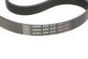 Ремкомплект ГРМ CITROEN/FORD/PEUGEOT/VOLVO Berlingo/C2-5/Fiesta/206+/3008/C30/V70 &quot;1,4-1,6D &quot;02&gt;&gt; SKF VKMA 33165 (фото 2)