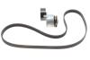 Ремкомплект ГРМ NISSAN/RENAULT Almera/Megane &quot;1,4-1,6 &quot;98&gt;&gt; SKF VKMA 36058 (фото 1)