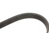 Ремкомплект ГРМ NISSAN/OPEL/RENAULT Interstar/Movano/Vivaro/Master/Trafic &quot;2,2-2,5D &quot;00&gt;&gt; SKF VKMA 36073 (фото 3)