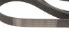 Ремкомплект ГРМ NISSAN/OPEL/RENAULT Interstar/Movano/Vivaro/Master/Trafic &quot;2,2-2,5D &quot;00&gt;&gt; SKF VKMA 36073 (фото 5)