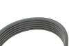 Ремкомплект ГРМ MAZDA 6 &quot;1,8-2,0 &quot;07-13 SKF VKMA 64114 (фото 12)