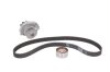 Ремкомплект ГРМ + помпа ALFA/FIAT/FORD/LANCIA Mito/500/Punto/Idea/Linea/Punto/Ka/Ypsilon &quot;1,2-1,4 &quot;9 SKF VKMC 02206-2 (фото 1)