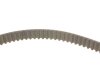 Ремкомплект ГРМ + помпа CITROEN/FIAT/FORD/PEUGEOT C4/C5/C8/Jumpy/Scudo/Focus/308 &quot;2,0D &quot;06&gt;&gt; SKF VKMC 03205 (фото 3)