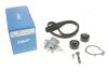 Ремкомплект ГРМ + помпа CITROEN/FIAT/PEUGEOT Berlingo/C4/C5/Evasion/Scudo/Expert/Partner &quot;2,0D &quot;98&gt;&gt; SKF VKMC 03247 (фото 1)
