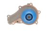 Ремкомплект ГРМ + помпа CITROEN/FIAT/FORD/MAZDA/MINI/PEUGEOT/SUZUKI/VOLVO &quot;1,6D &quot;03&gt;&gt; SKF VKMC 03259 (фото 6)