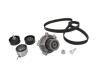 Комплект (ремінь+ролик+помпа) SKF VKMC 08503 (фото 2)