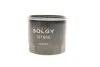 Фільтр масляний Solgy 101066 (фото 1)