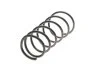 Пружина підвіски Solgy 212028 (фото 1)