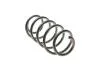 Пружина підвіски Solgy 212060 (фото 3)