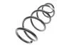 Пружина підвіски Solgy 212108 (фото 2)