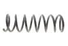 Пружина підвіски Solgy 212123 (фото 1)