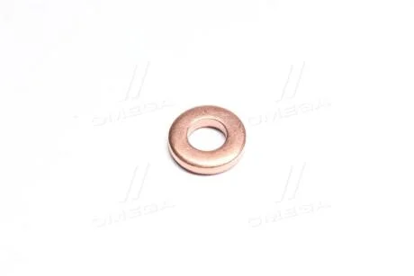 Кільце форсунки ущільнювальне SSANGYONG 6650170060