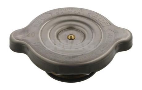 Кришка радіатора SWAG 10 99 0009