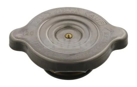 Кришка радіатора SWAG 10 99 0009