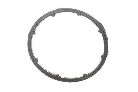 Кільце ущільнююче масляного радіатора AUTOMOTIVE TRUCKTEC 02.18.093