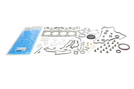 Комплект прокладок двигуна REINZ VICTOR REINZ 01-10004-01