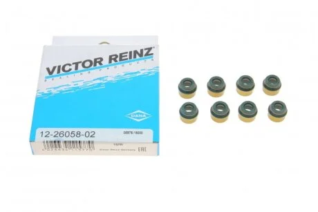 Комплект сальників клапану DIVERSE VICTOR REINZ 12-26058-02