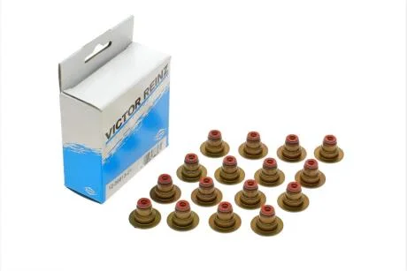 Комплект сальників клапану FIAT/OPEL 1,6-1,8 04- VICTOR REINZ 12-36613-01