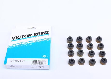Комплект прокладок, стержень клапана REINZ VICTOR REINZ 12-54024-01