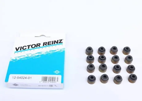 Комплект прокладок, стержень клапана REINZ VICTOR REINZ 12-54024-01