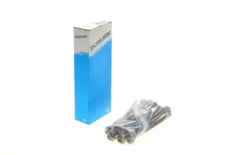 Комплект болтів гбц REINZ 14-10013-01 VICTOR REINZ 141001301